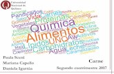 Universidad Nacional de Quilmes - Química de los …alimentos.web.unq.edu.ar/wp-content/uploads/sites/57/2016/03/12a... · Proteínas del tejido conjuntivo. Elastina • Segundo