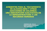 AMBIENTES PARA EL TRATAMIENTO DE ALCOHOLISMO …cls.org.co/uploaded_user/pdf2007/25.pdf · ambientes para el tratamiento de alcoholismo y otras adicciones en colombia: una descripciÓn