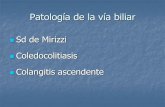 Sd de Mirizzi Coledocolitiasis Colangitis ascendenteseram2010.seram.es/modules/posters/files/patologa_de_la_va_biliar.pdf · Síndrome de Mirizzi (Síndrome de compresión biliar