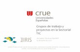 Grupos de trabajo y proyectos en la Sectorial TICtic.crue.org/wp-content/uploads/2017/06/20170613-Jornadas-RedIRIS... · Nuevo GT resultante de la fusión de una parte del anterior