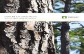Guía de las especies de coníferas americanas - AITIMinfomadera.net/uploads/descargas/archivo_52_Guia Especies... · 2 — Guía sobre las especies de maderas de coníferas americanas