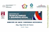 Asunción - Paraguay - oiss.org · Reglamento General Técnico de Seguridad, ... • Reglamento General Técnico de Seguridad, Higiene y Medicina en el Trabajo , Decreto 14,390…
