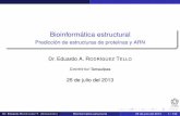 Bioinformática estructural - Predicción de estructuras de ...ertello/bioinfo/sesion14.pdf · Dr. Eduardo RODRÍGUEZ T. (CINVESTAV) Bioinformática estructural 25 de julio del 2013