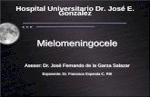 Anomalías Congénitas de la Medula Espinal - mic.com.mxmic.com.mx/ortopedia/img/pdf/pediatriaortopedia/MielomeningoceleI.pdf · Defectos de post-neurulación: Anormalidades que ocurren
