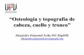 “Osteología y topografía de cabeza, cuello y tronco” comunidadanato/DrAPimentel/UPV_Osteo_topo_c… · “Osteología y topografía de ... COLUMNA VERTEBRAL Bovino C7 T13 L6