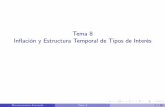Tema 8 In⁄ación y Estructura Temporal de Tipos de … · En este tema se analizan dos tipos de mecanismos de transmisión dinÆmicos ... t+T/t = 0 Macroeconomía Avanzada Tema