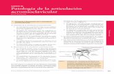 Capítulo 82 Patología de la articulación acromioclavicular · • La proyección de Zanca (que es una proyec- ... del mismo hombro. C, Posición de reposo de la clavícula distal