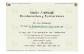 Visión Artificial: Fundamentos y Aplicacionesarantxa.ii.uam.es/~jms/seminarios_doctorado/abstracts2006-2007/... · VA: fundamentos y aplicaciones– UAM – 2007-05-03 L.Salgado@gti.ssr.upm.es