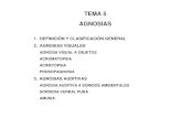 TEMA 5 AGNOSIAS - files.jofrepsicologos.webnode.esfiles.jofrepsicologos.webnode.es/200000028-acd29adcc7/Agnosias.pdf · tema 5 agnosias 1. definiciÓn y clasificaciÓn general 2.