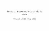 Base molecular de la vida - Bachillerato – Ciencias · Tema 1. Base molecular de la vida TEMA 6 LIBRO (Pág. 131) GUIÓN TEMA •Bioelementos •Biomoléculas inorgánicas –Agua