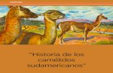 “Historia de los camélidos sudamericanos”argentinambiental.com/wp-content/uploads/pdf/AA62-48-Historia_De... · fecas fosilizadas, siendo la mayoría de llamas, alpacas y, en