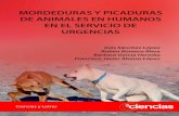 MORDEDURAS Y PICADURAS DE ANIMALES EN … · 1.2. Resumen Estudios encontrados en varias plataformas científicas advierten de la necesidad de sutura primaria en mordeduras de perro.