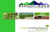 agroindustrias guilus - Silicis Perú · Visión de la empresa: Nuestra Visión es ser reconocidos como una empresa líder del sector Agrícola; comercializando el mejor de los ...