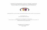 PONTIFICIA UNIVERSIDAD CATÓLICA MADRE Y …monografiadigital.com/wp-content/uploads/2016/09/Analisis-de-la... · 2.3.4 Ventajas y Desventajas de la Cultura Organizacional 2.3.5 Otras