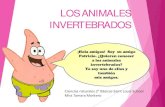 LOS ANIMALES INVERTEBRADOS - stls.cl. NATURALES/LOS... · Animales Invertebrados Los animales invertebrados . no tienen esqueleto en el interior. de sus cuerpos. Entre otras características