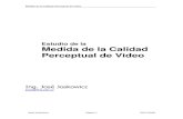 Medida de la Calidad Perceptual de Video - iie.fing.edu.uyiie.fing.edu.uy/~josej/docs/Medida de la Calidad Perceptual de... · La complejidad de codificadores y decodificadores ha