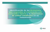 Identificación de las dermatosis que responden al ...videoteca.farmaceuticosdesevilla.es/videoteca/docs/Dermatosis.pdf · INTRODUCCIÓN Las dermatosis que responden a Corticoides