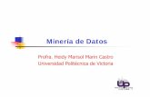 Minería de Datos - tamps.cinvestav.mxhmarin/Mineria/EC2.pdf · 3 Tipos de datos ¿Que tipos de datos se pueden utilizar en la minería de datos? • En general podemos encontrar