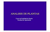 ANALISIS DE PLANTAS - Facultad de Agronomía fertilidad/curso/docs/analisis_  · PDF fileseco total de una planta, y son precisamente los que se determinan en el análisis de planta.