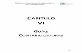 CAPÍTULO VI - mexicali.gob.mx · manual de contabilidad gubernamental guÍa contabilizadora vi-2 capÍtulo vi guÍas contabilizadoras Índice i asientos de apertura 5 vii.1.1 registro