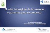 El valor intangible de las marcas y patentes para su … Empresarial/LEYES/Marcas... · • Ley 354 Patentes de Invención, Modelos de Utilidad y Diseños Industriales (Gaceta D.O.