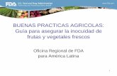 BUENAS PRACTICAS AGRICOLAS: Guía para …tlc-eeuu.procolombia.co/sites/default/files/documentos/FDA/Buenas... · Contaminantes podrían entrar en contacto en cualquier momento de