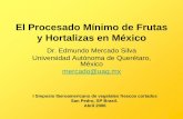 El Procesado Mínimo de Frutas y Hortalizas en Mexico · El Procesado Mínimo de Frutas ... plantas procesadoras • Tratamientos de conservación: ... industria de alimentos rápidos