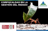 CORPOCALDAS EN LA GESTIÓN DEL RIESGO · MARCO LEGAL LEY 99/93 Decreto 919 de 1.989 Se crea el Ministerio del Medio Ambiente y el SINA ART. 31: “Realizaractividades de análisis,