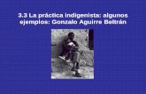 Gonzalo Aguirre Beltrán - Iniciosgpwe.izt.uam.mx/files/users/uami/mapa54/9_Antropologia_Mexicana... · de individuos que participan de culturas diversas, lo trascendente no es el