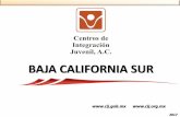 BAJA CALIFORNIA SUR - cij.gob.mx · 3 Consumo alguna vez en la vida de las principales drogas reportadas por usuarios de drogas ilícitas en tratamiento en CIJ del Estado de Baja