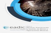 Minería: Planificación y Gestión de Minas y - eadic … · exploración y evaluación de los yacimientos. También se profundizará con especial importancia en la gestión de riesgos