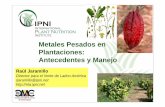 Metales Pesados en Plantaciones: Antecedentes y …nla.ipni.net/ipniweb/region/nla.nsf/0... · • La literatura sobre nutrición vegetal habla ... gremio y un facilitador en el proceso.