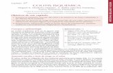 Capítulo 27 COLITIS ISQUÉMICA INTESTINO DELGADO Y COLONindogastro.org/downloads/27.colitisisquemica.pdf · la evolución de los pacientes con oclusión del colon por una neoplasia