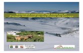 Ecología espacial del lobo en el Parque Nacional de …coordinadoraecoloxista.org/images/documentos/6-Ecologia Espacial.pdf · Para proceder a la instalación de un collar GPS a