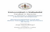 Responsabilidad Civil por daños causados en atracciones de …uvadoc.uva.es/bitstream/10324/22963/1/TFG-D_0357.pdf · 1 RESUMEN Partiendo del régimen contenido en el Código Civil