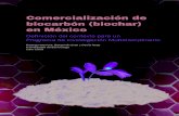Tabla de Contenido - Red Mexicana de Bioenergíarembio.org.mx/wp-content/uploads/2014/10/Comercializacion_de... · Tabla 1. Ejemplos de recursos de biomasa para la producción de