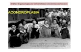 ACONDROPLASIA - uma.es€¦ · Análisis de genealogías con enfermedades autosómicas dominantes Enanismo acondroplásico, enfermedad que se hereda de manera autosómica dominante.