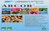 ARCOR - tscatalunya.com · ARCOR© FUNDAMENTOS ARCOR es un tratamiento de la gama CLIN (Controlled Liquid Ionic Nitriding) de HEF-DURFERRIT y consiste en una nitrocarburación, una