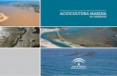 Localización de zonas idóneas para el desarrollo de la ... · Localización de Zonas Idóneas para el Desarrollo de la Acuicultura Marina en Andalucía. - Sevilla: ... Algunos de