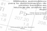 Métodos automáticos para la determinación de plomo … · tesis doctoral mÉtodos automÁticos para la determinaciÓn de plomo basados en tÉcnicas de anÁlisis en flujo blanca