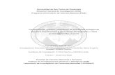 Universidad de San Carlos de Guatemala Dirección …digi.usac.edu.gt/bvirtual/informes/puicb/INF-2008-087.pdf · Tabla No. 22 Cromatografía en capa fina de flavonoides y antocianinas
