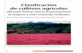Clasificación de cultivos agrícolas - inegi.org.mx · 62 REALIDAD AT AC T TC TTC GGF Flower crops in foothills in Michoacan state/Agostini/Getty Images Clasificación de cultivos
