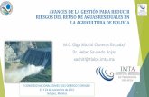 Presentación de PowerPoint - COMEII - Colegio Mexicano de ... · de salud por el reúso de aguas residuales en el riego de cultivos, para Bolivia. ... Lechuga, cebolla, zapallo,