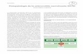 Fisiopatología de la enterocolitis necrotizante (ECN) · o toxinas y la sepsis secundaria a esos fenómenos.11 Los componentes principales de la barrera son, entonces, la