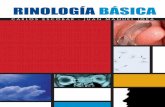 RINOLOGÍA BásIcA - otorrinoescobar.esotorrinoescobar.es/app/download/5796409013/RINOLOGIA+BASICA.pdf · nasales mediante una endoscopia nasal ... bique y de los cornetes inferior