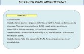 METABOLISMO MICROBIANO - agro.unc.edu.aragro.unc.edu.ar/.../wp-content/uploads/2014/04/2-metabolismo-1.pdf · METABOLISMO MICROBIANO Clasificación Metabolismo Quimio-órgano-heterótrofo