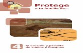 4 de suelos y bosques - BVPADbvpad.indeci.gob.pe/doc/pdf/esp/doc2297/doc2297-contenido.pdf · a la vida y al bienestar del hombre pues juegan un papel esencial en la conservación