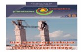 Publicación de la Plataforma Energética • Año VII ...masas.nu/articulos para la portada/litio/litio.pdf · la Industria del Litio y Suspenso en su Industrialización en Bolivia