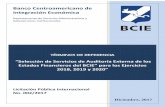 Banco Centroamericano de Integración Económicaproveedores.bcie.org/opencms/export/sites/bcie/.content/proceso/PC... · ejercicios terminados al 31 de diciembre de 2018, 2019 y 2020