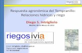 Respuesta agronómica del Tempranillo: Relaciones …riegos.ivia.es/ficheros/recursos/intrigliolo.pdf · Índice 1. Contexto. Riego y relaciones hídricas 2. Respuesta productiva